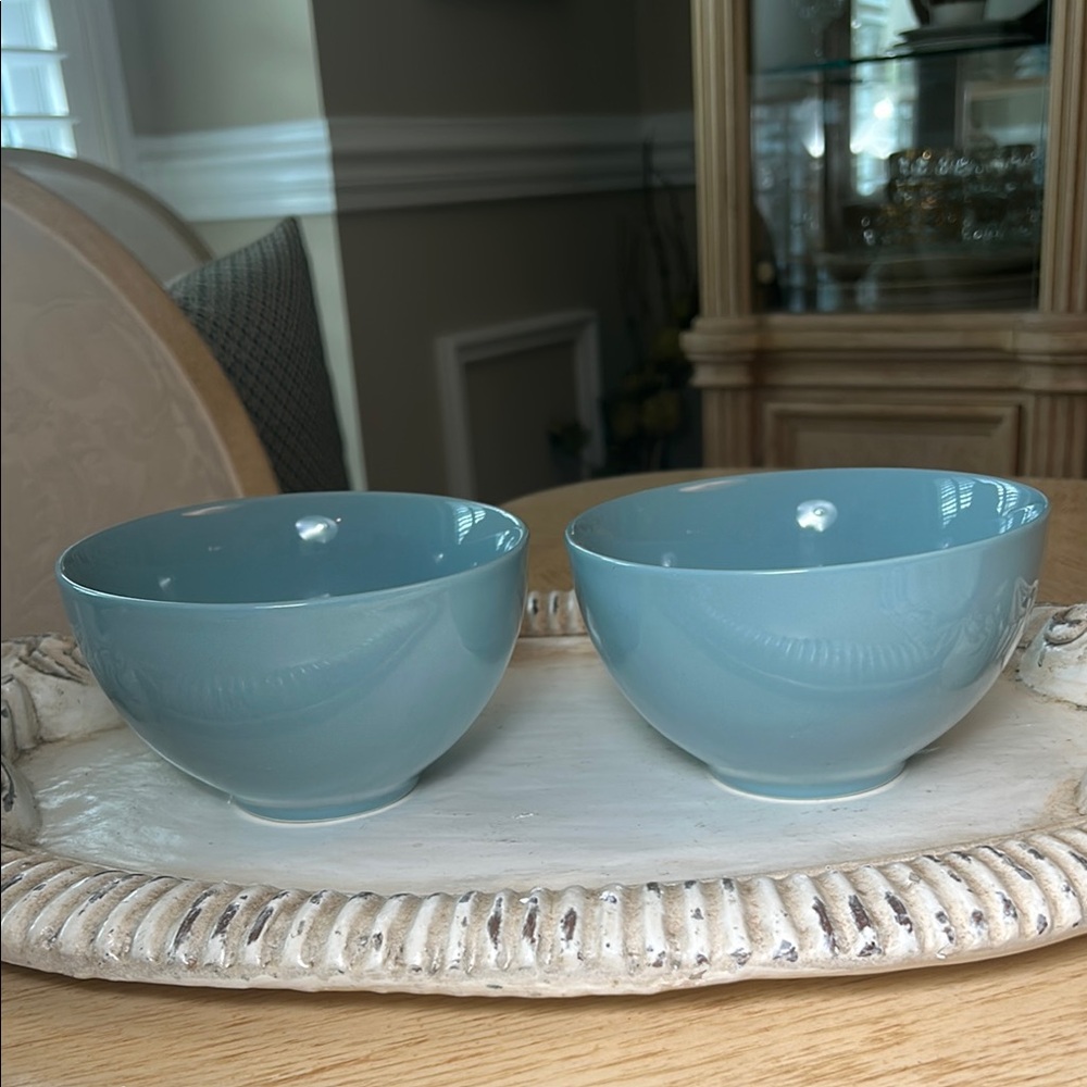 Real Simple Commercial Grade Cereal Bowls (2)